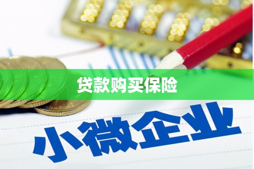 乐清贷款购买保险