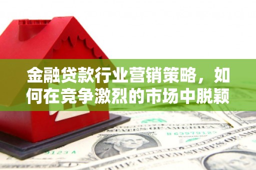 高安金融贷款行业营销策略，如何在竞争激烈的市场中脱颖而出？